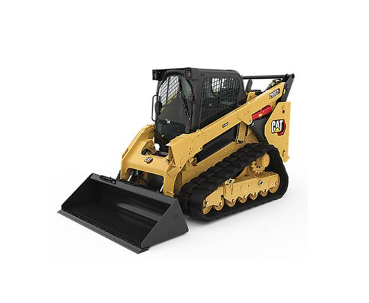 Cat-D.jpg